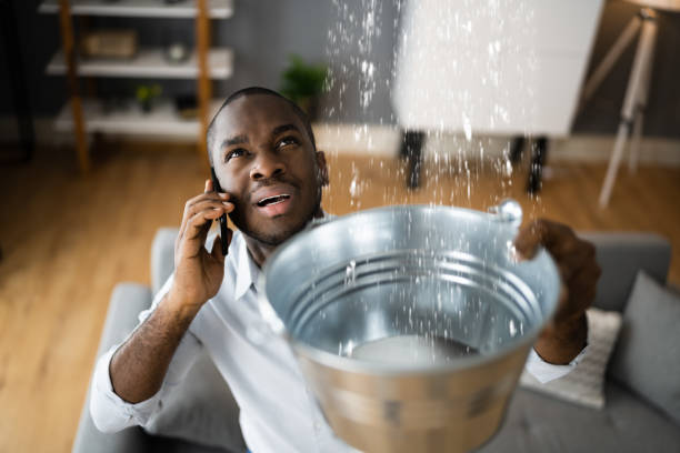 Best Local water damage restoration  in Mission, TX