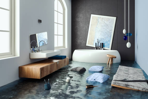 Best Flood restoration services  in Mission, TX