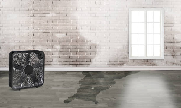 Professional Water damage restoration in Mission, TX