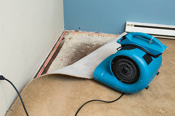 Best Carpet water damage restoration  in Mission, TX